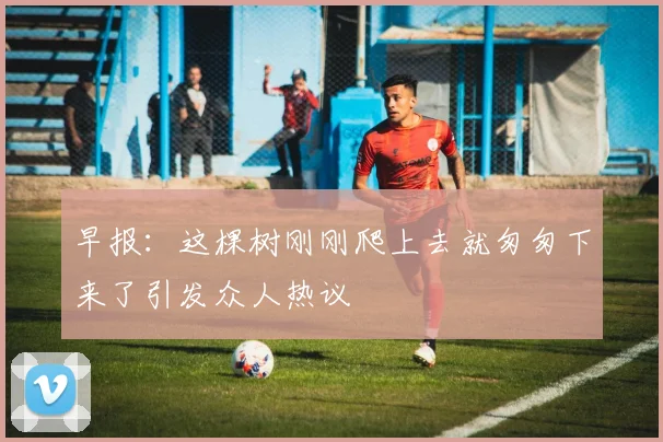 早报：这棵树刚刚爬上去就匆匆下来了引发众人热议